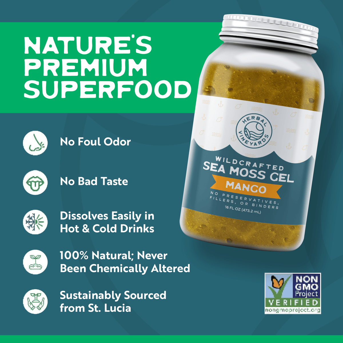 EXCLUSIVE MANGO SEA MOSS GEL