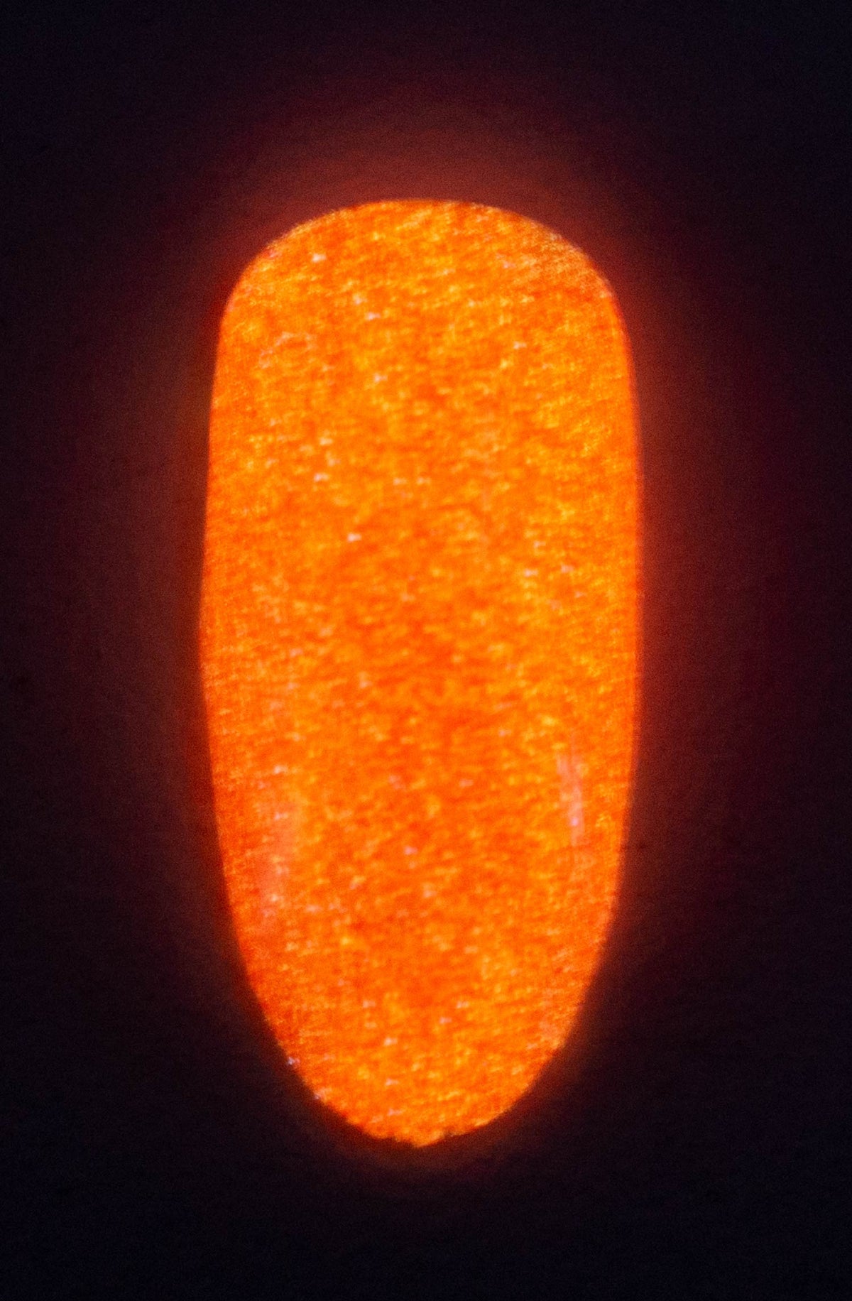Bahama - Polish