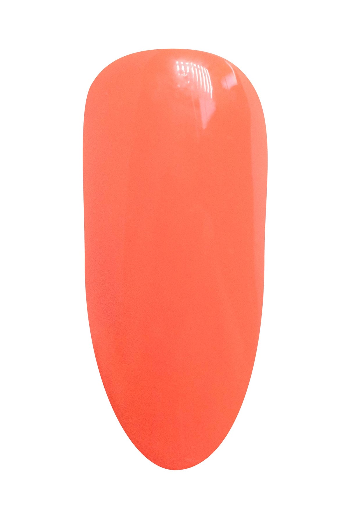 Bahama - Polish