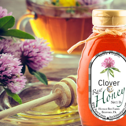 100% Pure Clover Honey - Enhance Cooking w/Natural Sweetness