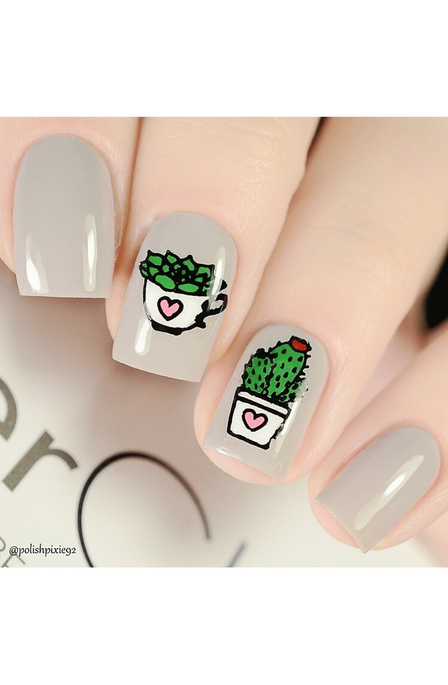 Succulents