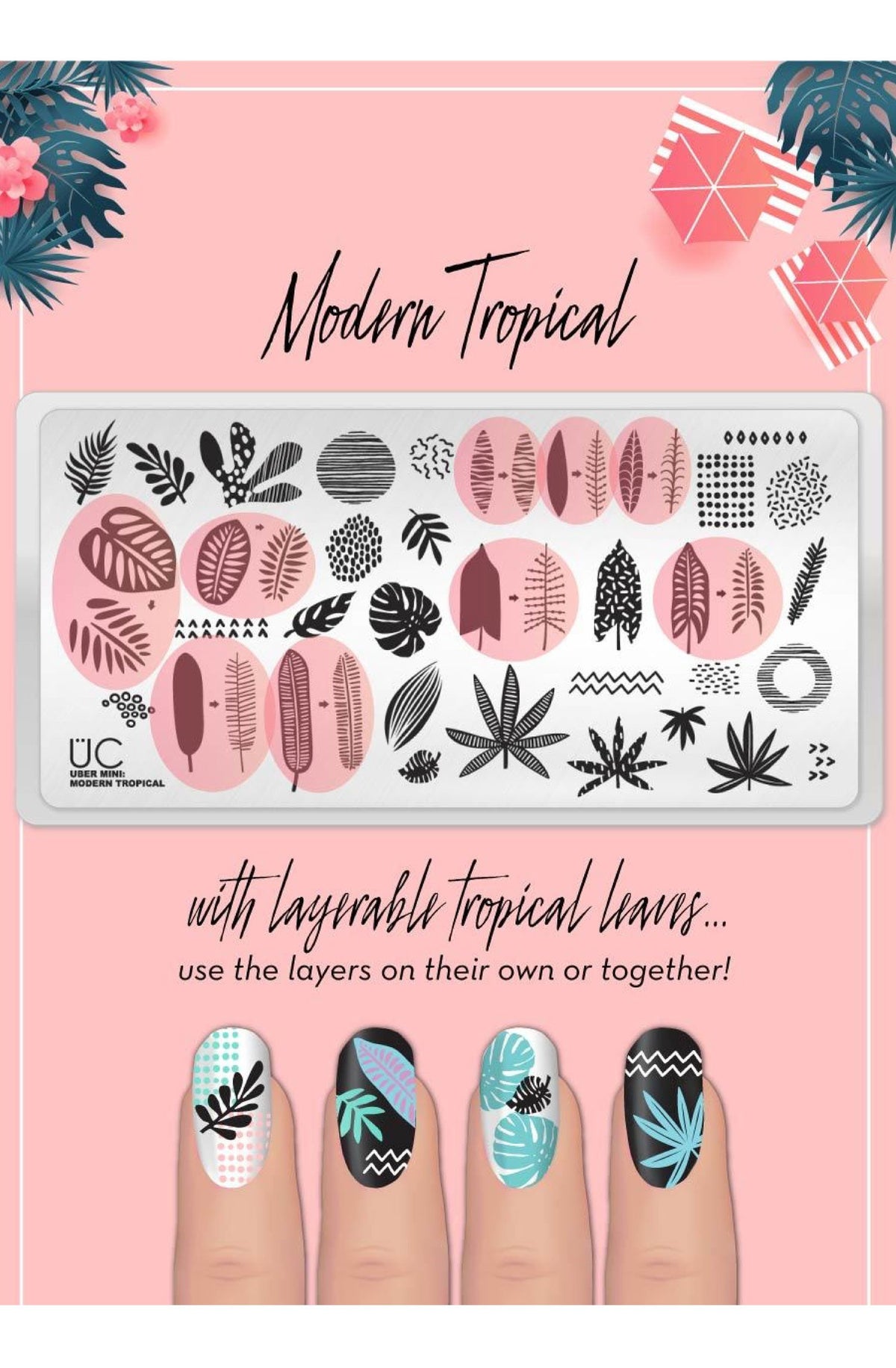 Modern Tropical
