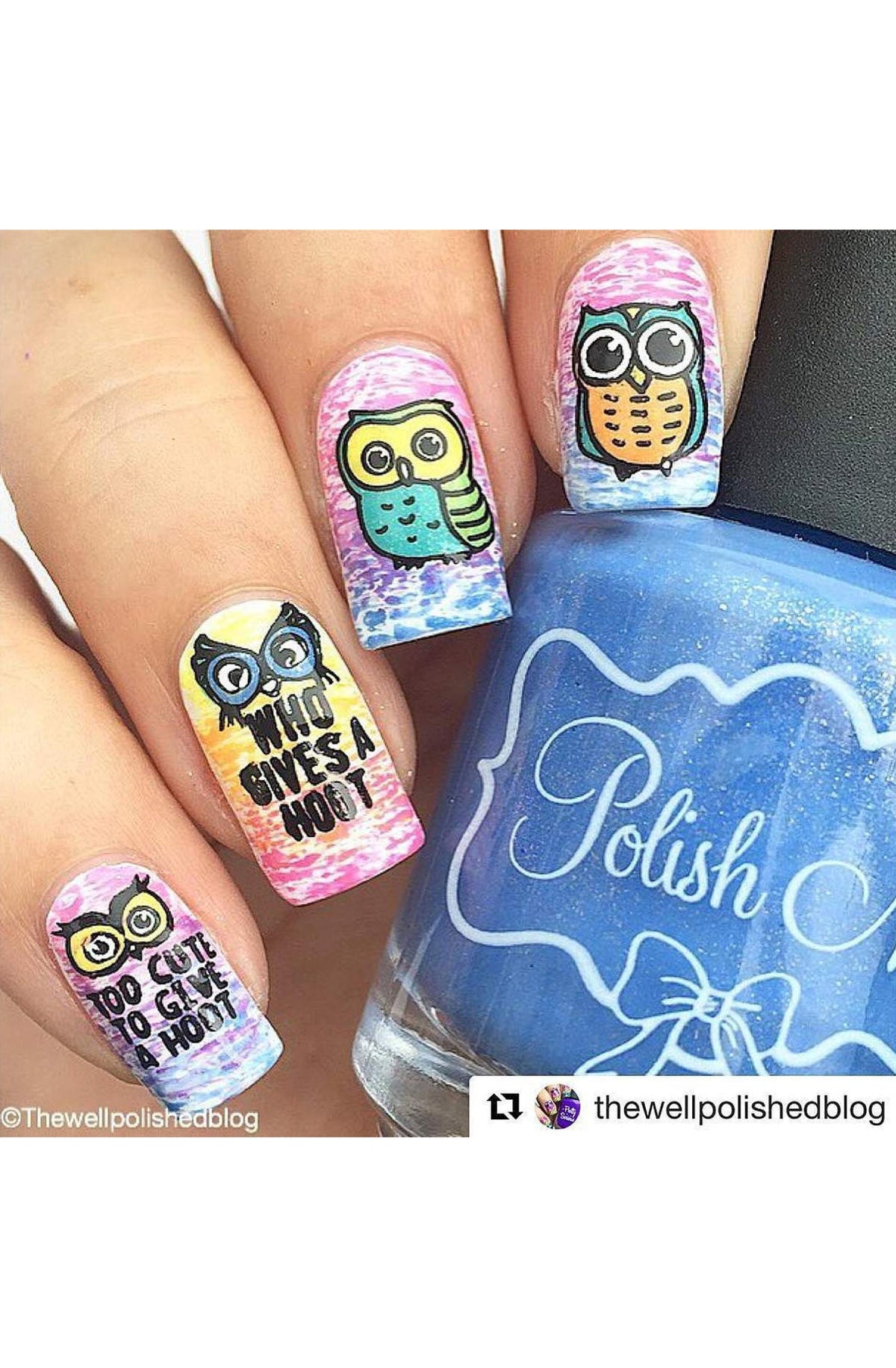 Who Gives a Hoot