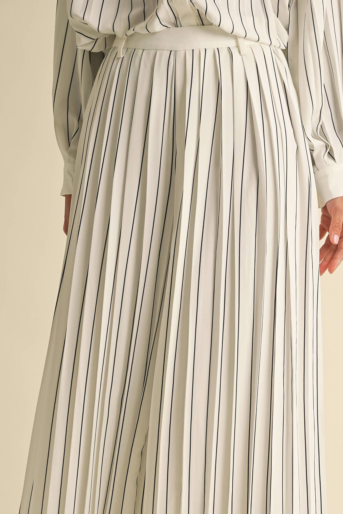 Pleated Stripe Pants