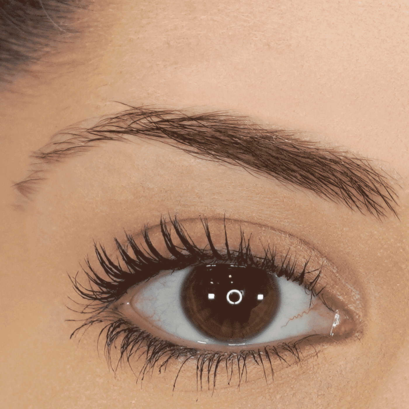 Eyebrow Pencil