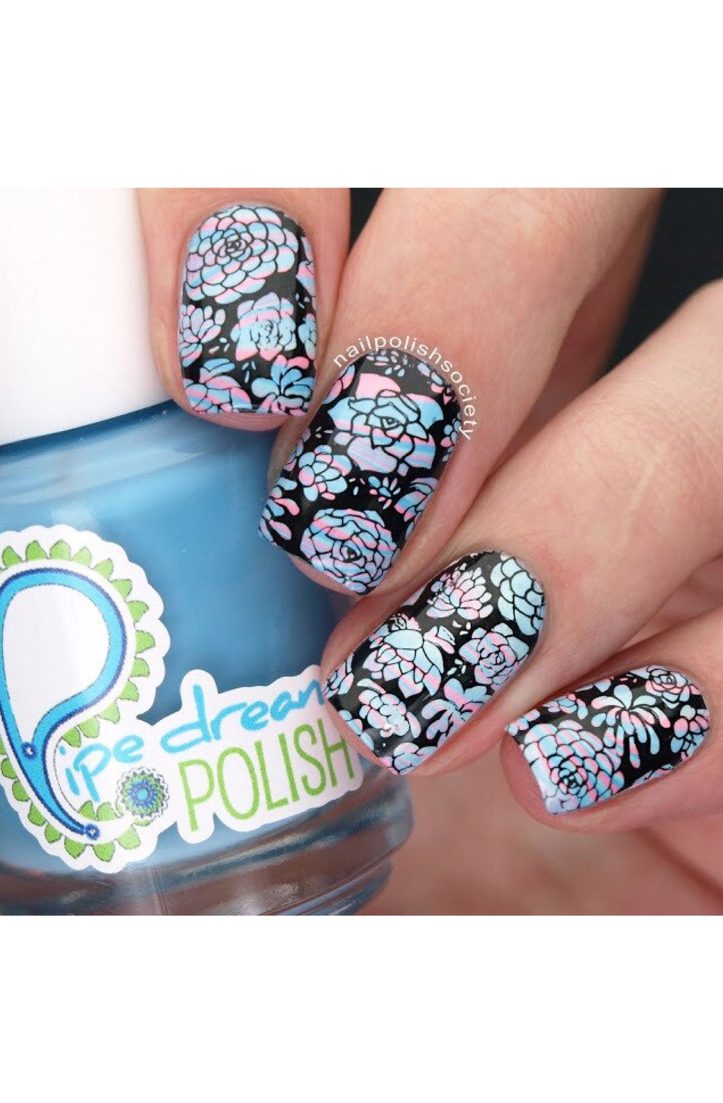Succulents