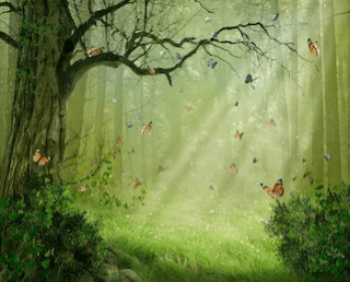 Bougie de soja Forêt Enchantée – Parfum terreux et mystique | Mam Jam's