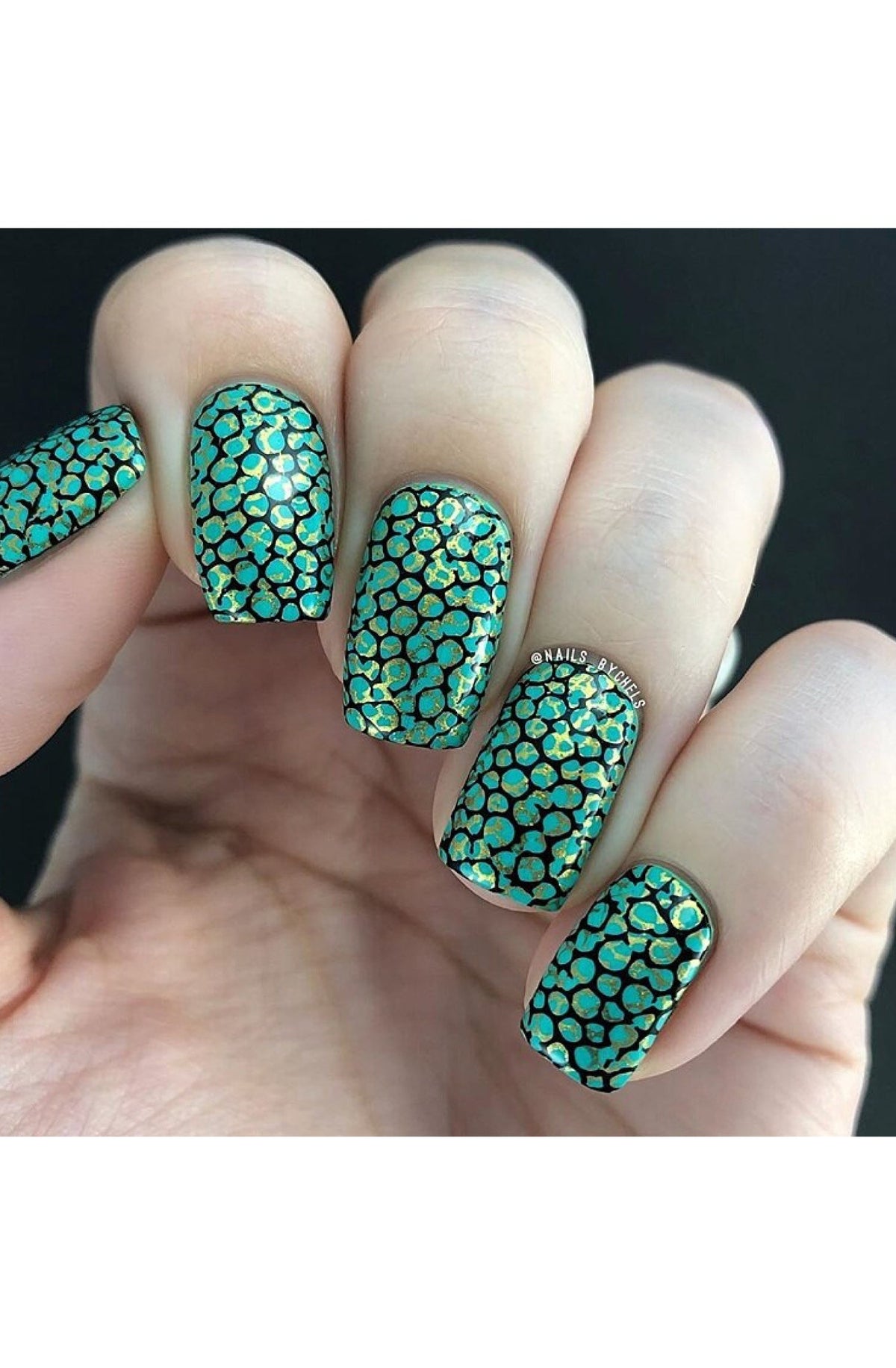 Wild Luxury: Cold Blooded