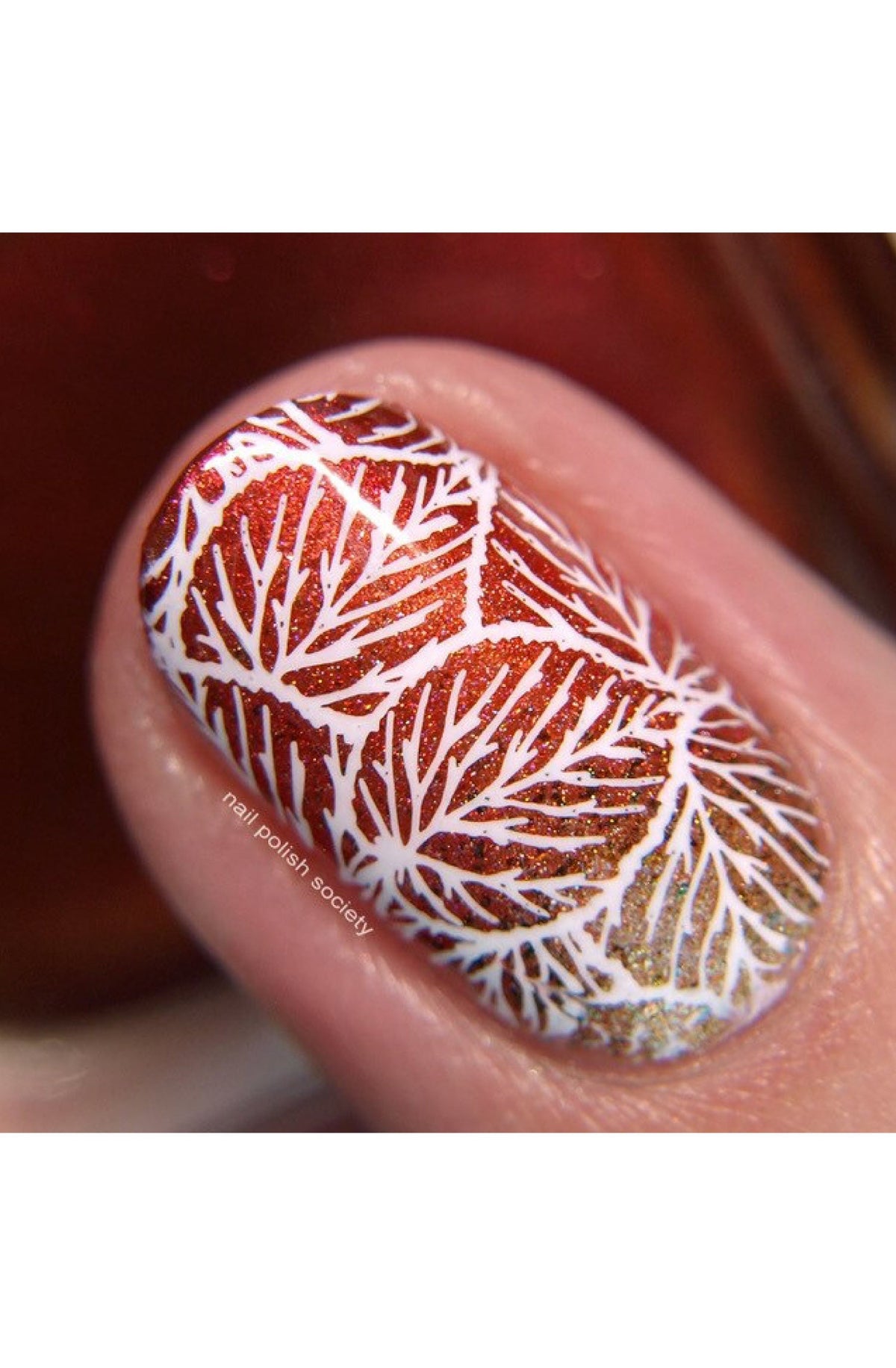 Lovely Leaves-01