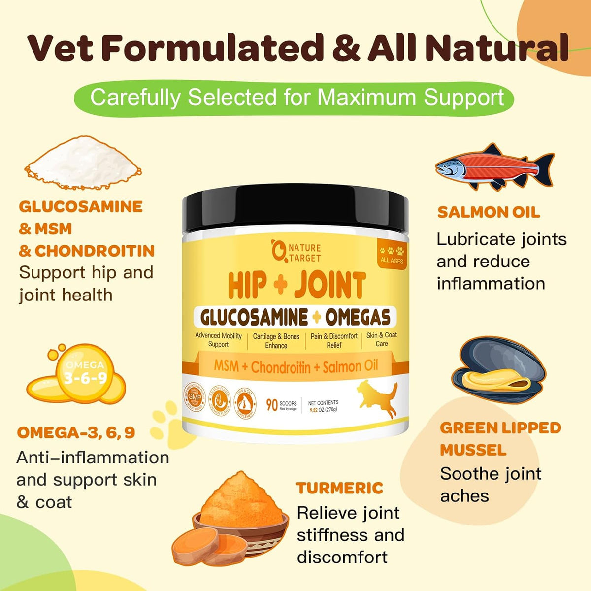 Glucosamine HCl 600mg + MSM 400mg + Salmon Oil + Green Lipped Mussel, Hip & Joint Powder, Salmon Flavor, 90 Scoops