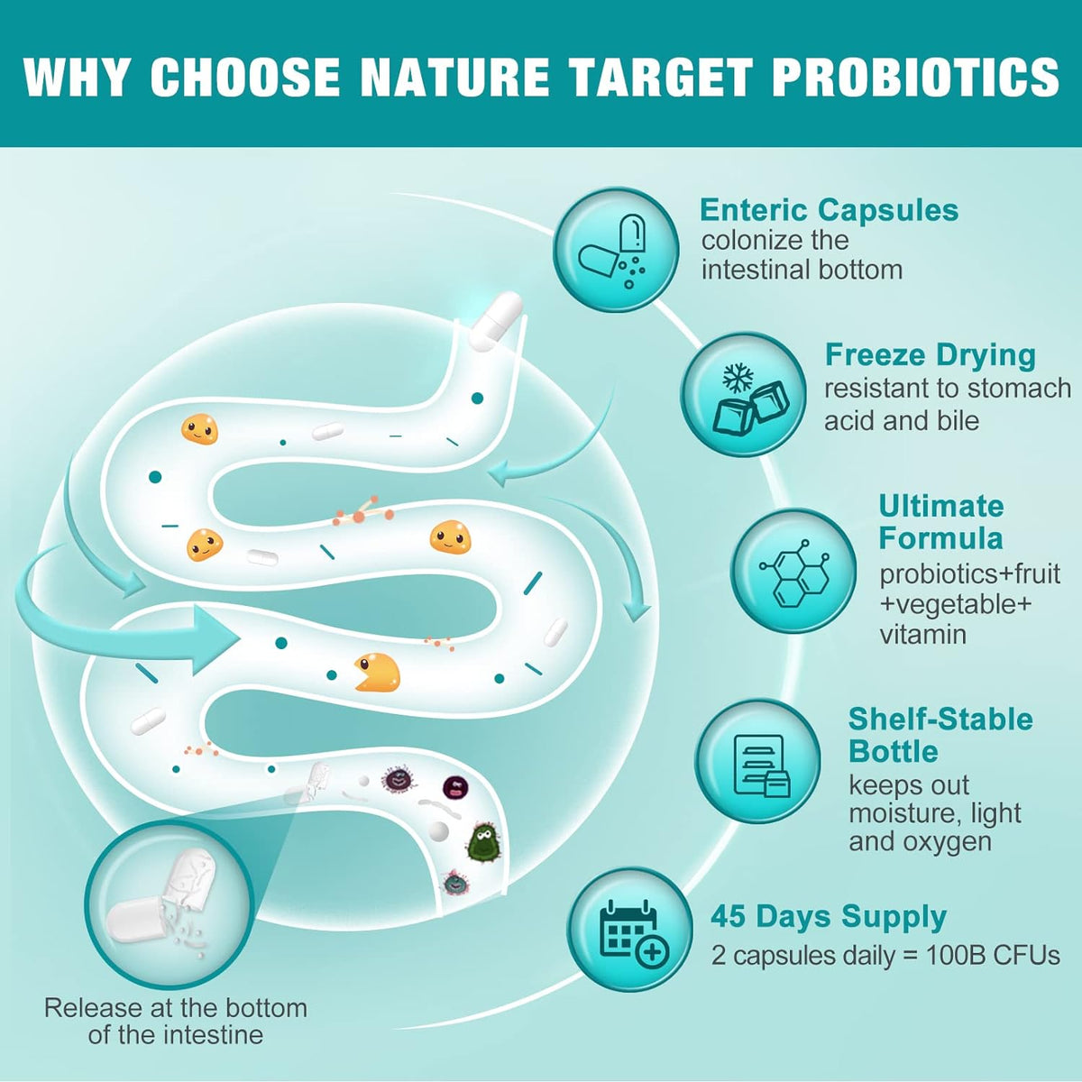 5-in-1 Probiotics 100B CFUs, 30 Strains + Prebiotics Fiber 200mg + Colon Cleanse Complex + Fruit & Vegetable Complex + Vitamin B, 90 Vcaps