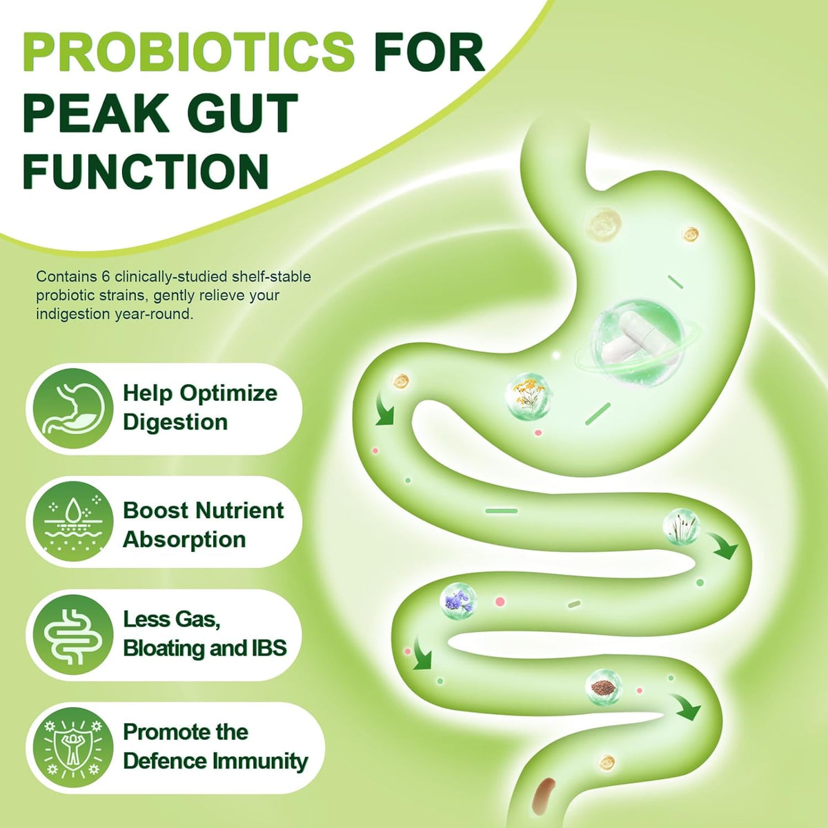 Probiotics 60 Billion CFUs, 8 Strains with Prebiotic Fiber 1g, Vitamin C & B12, Vcaps, 120ct