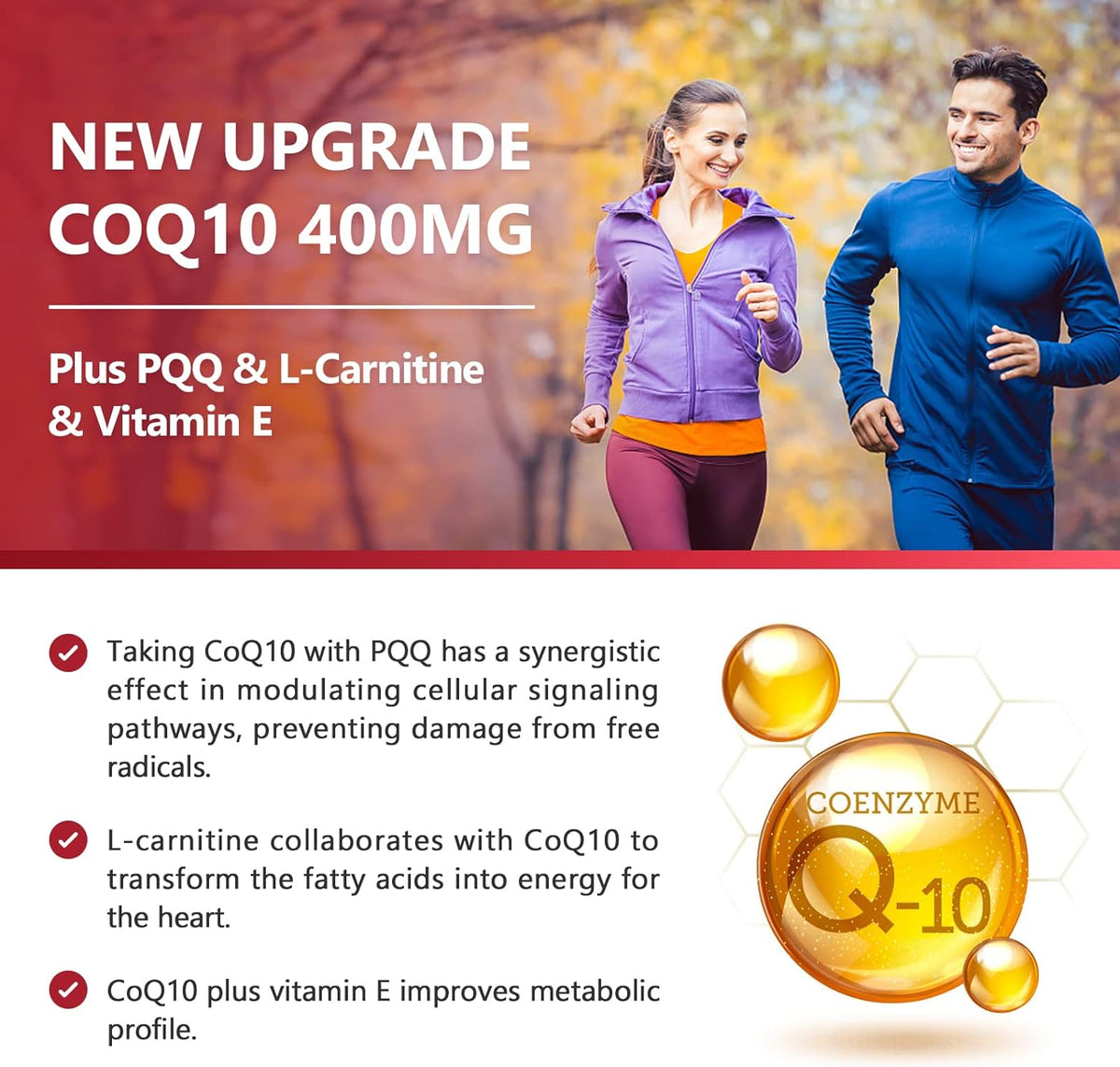 CoQ10 400mg + PQQ 20mg + L-Carnitine 10mg + Vitamin E 30mg + BioPerine 5mg, 120 Softgels