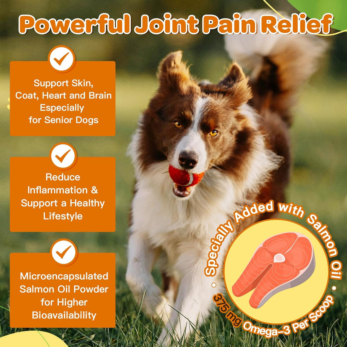 Glucosamine HCl 600mg + MSM 400mg + Salmon Oil + Green Lipped Mussel, Hip & Joint Powder, Salmon Flavor, 90 Scoops