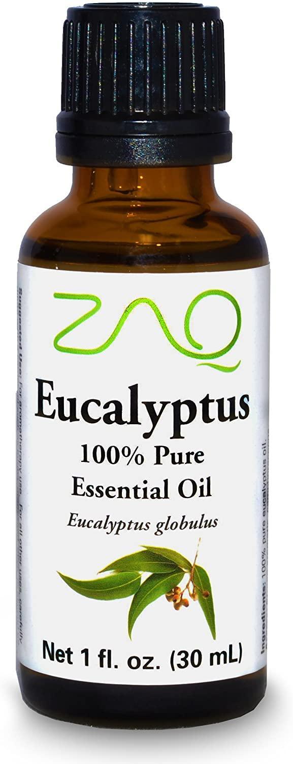 Eucalyptus