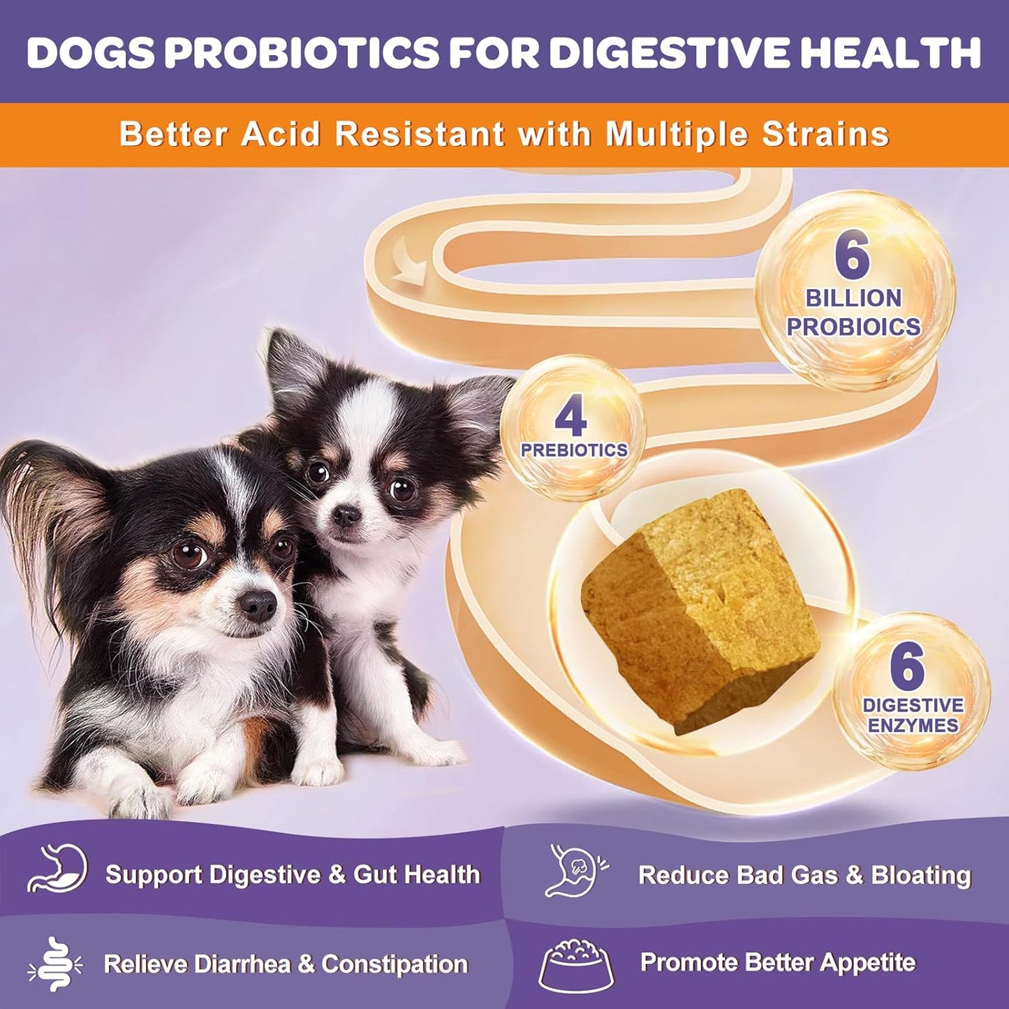 Chicken flavor Probiotics for Dogs & Cats, 6 Billion CFUs, 180 Chews