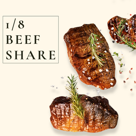 CMR 1/8 Beef * READY TO SHIP (DHB)