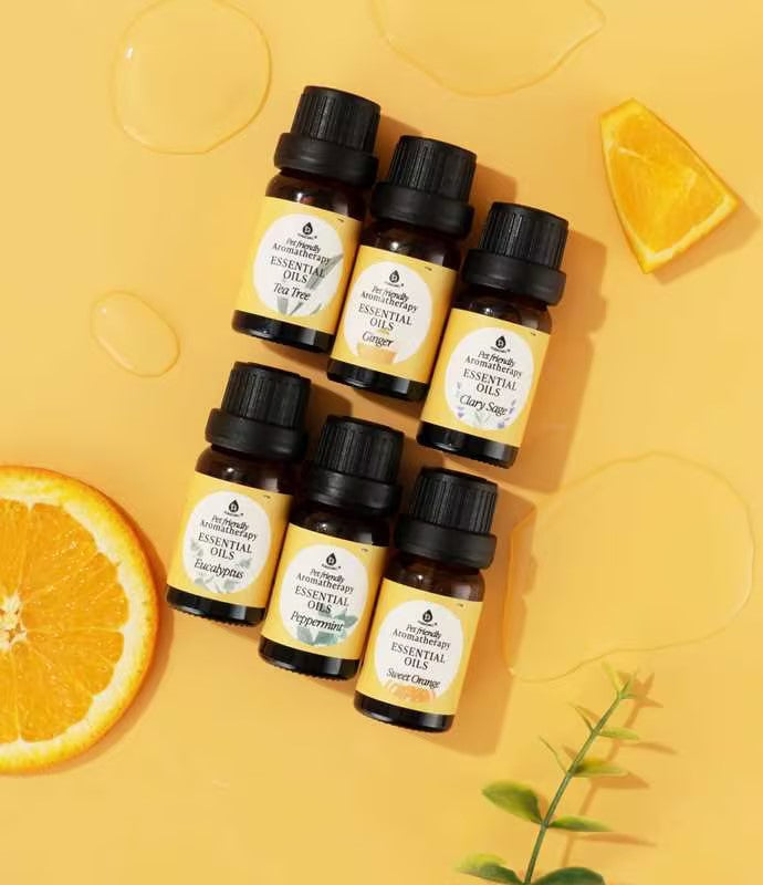 Collection d'huiles essentielles d'aromathérapie pour animaux de compagnie - Cèdre, Camomille, Encens, Gingembre, Lavande et Romarin