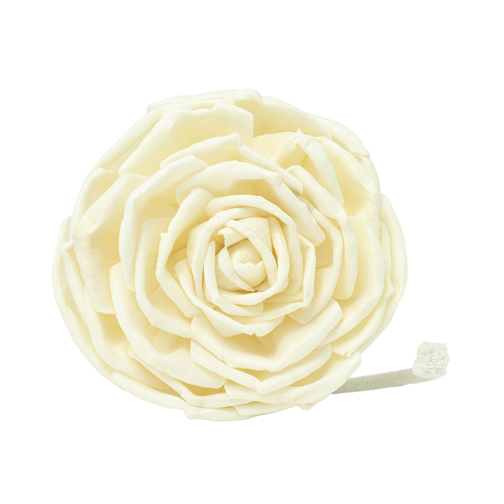 Reemplazo de floretes
