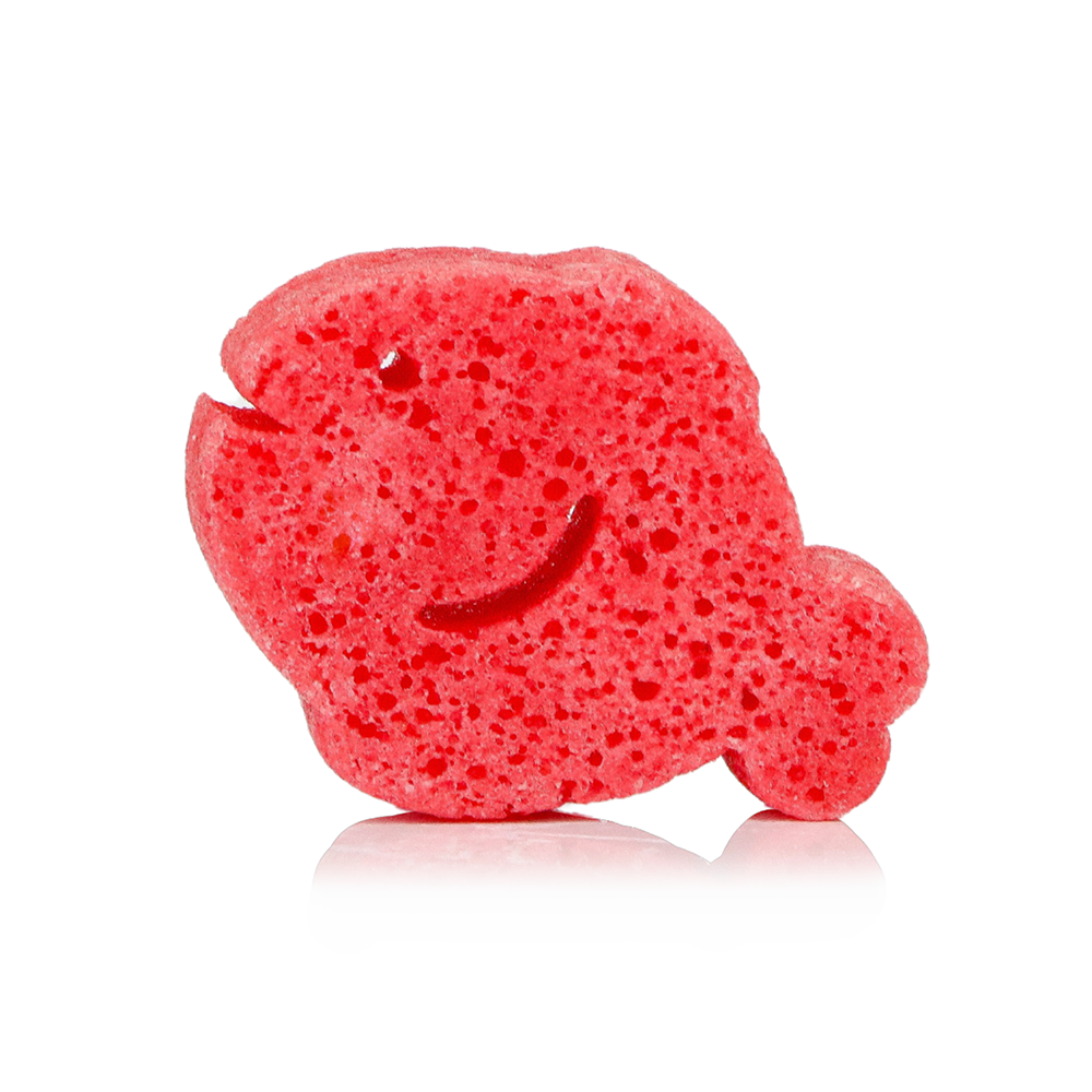 Fiona Fish | Animales marinos