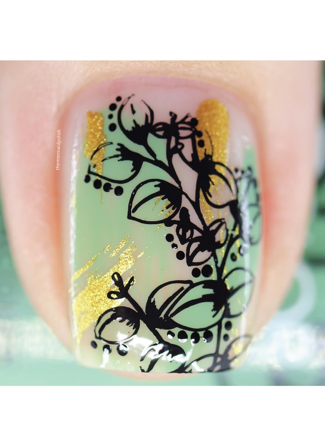 Flora & Fauna