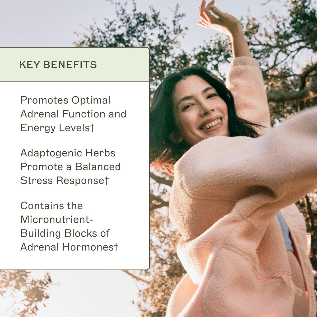 Adrenal Support