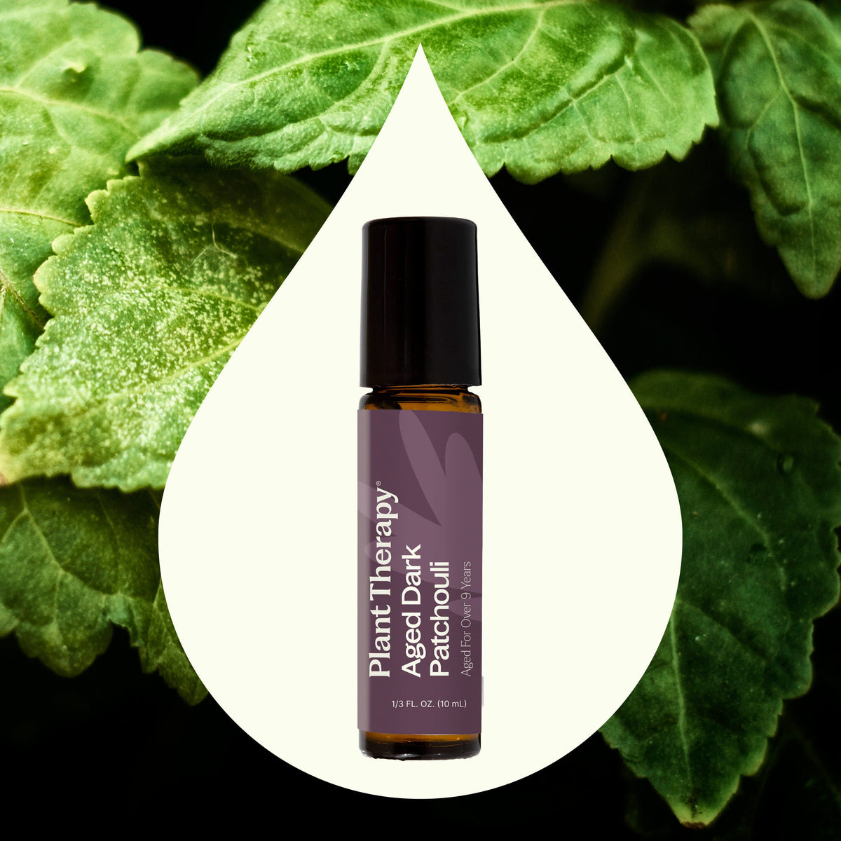 Aceite esencial de pachulí oscuro envejecido prediluido roll-on 10 ml