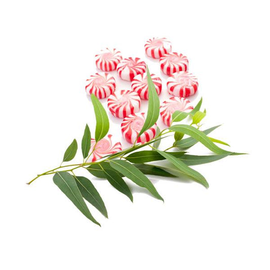 Peppermint & Eucalyptus Soy Candle – Refreshing & Invigorating Scent | Mam Jam’s