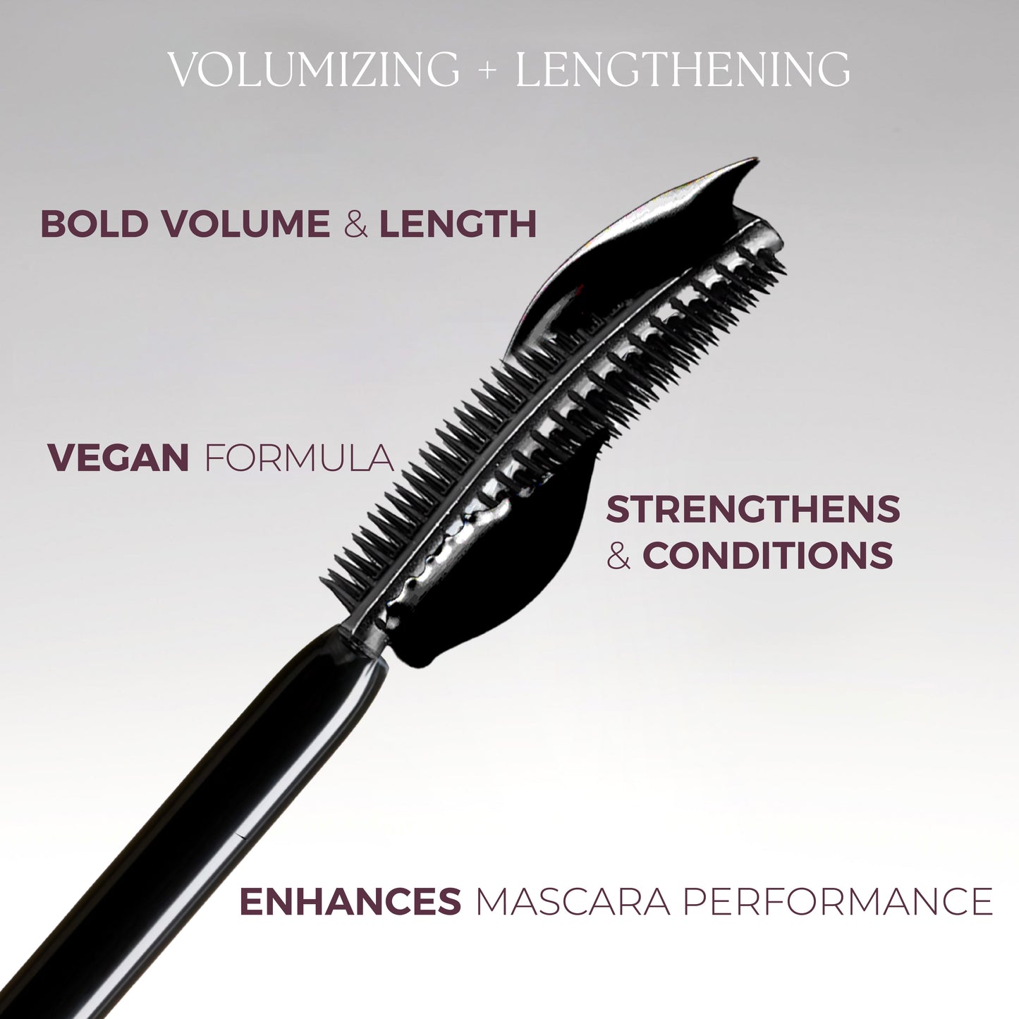 Black Lash Primer