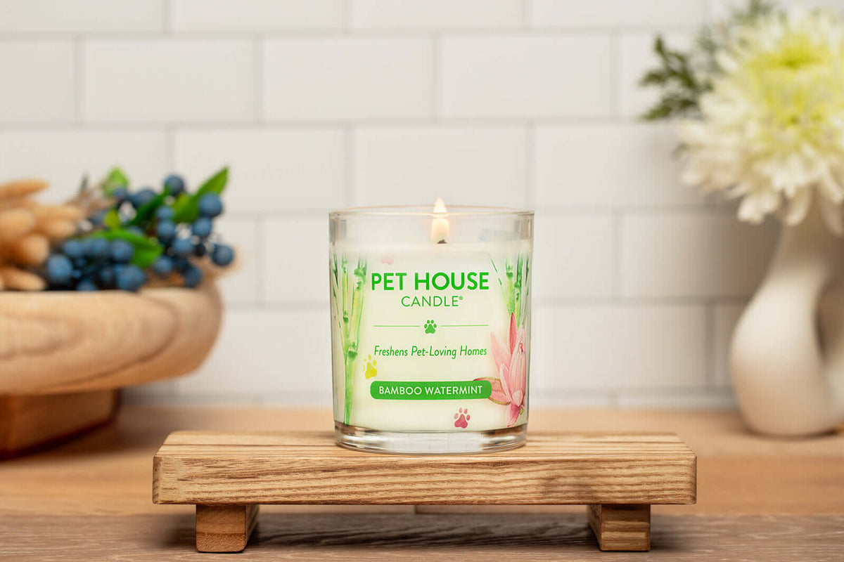 Bamboo Watermint Candle