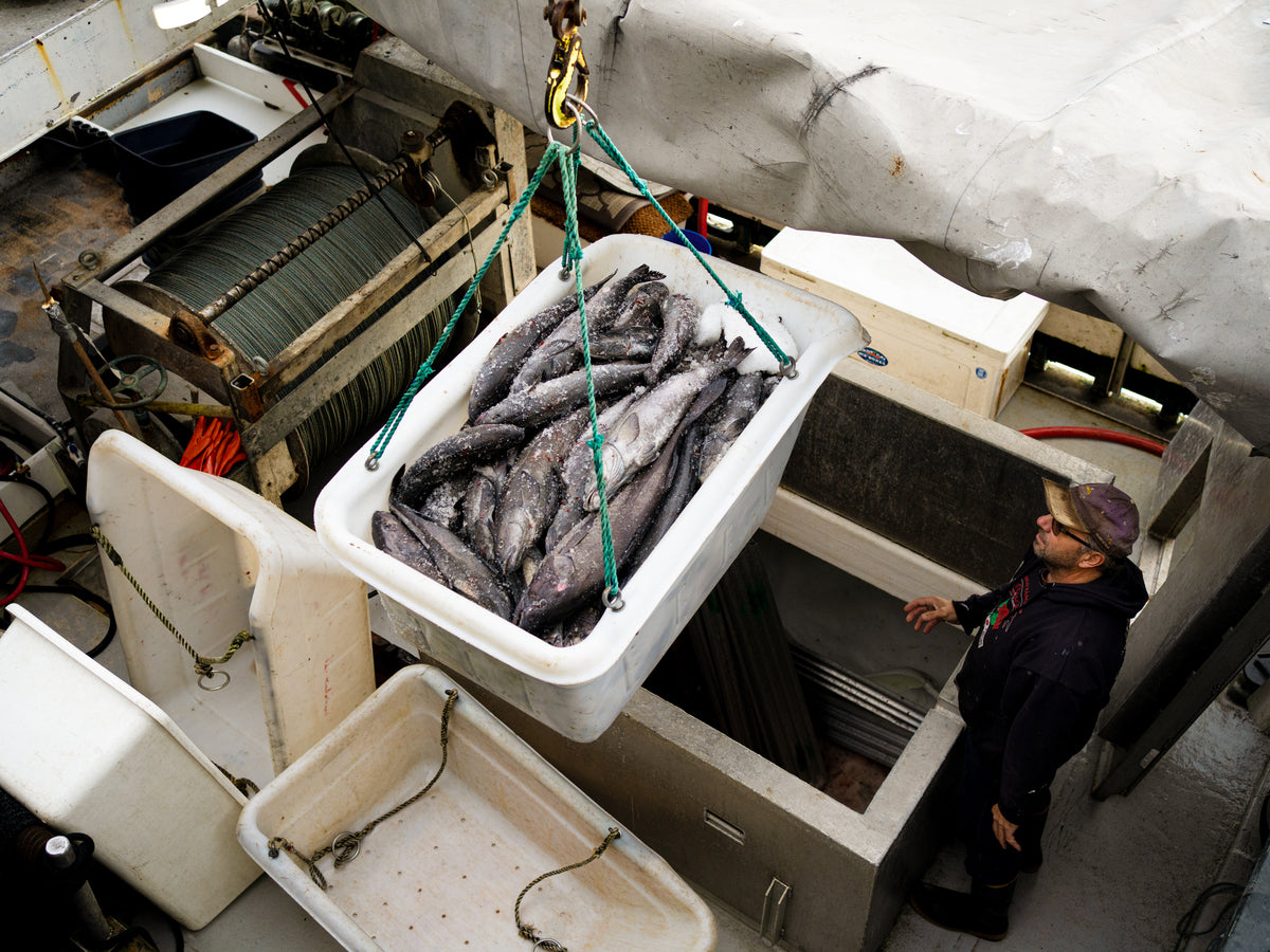 Wild Alaskan Black Cod
