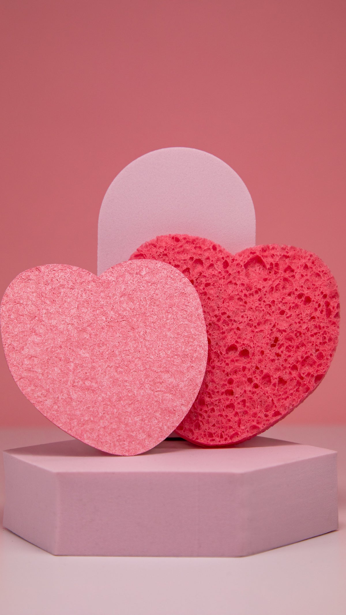 Esponjas de belleza facial comprimidas
