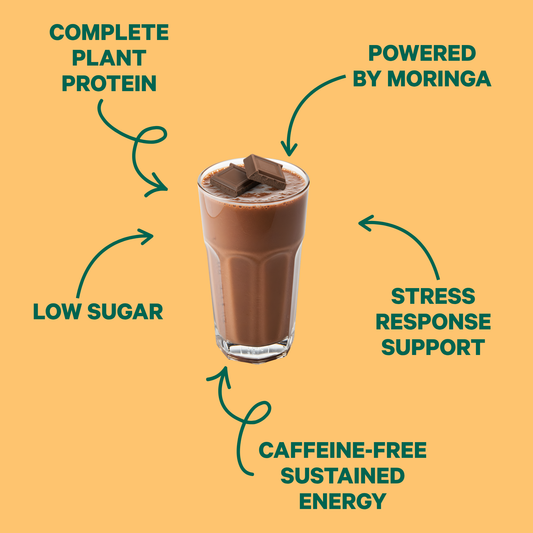 Energy Shake with Plant Protein (Chocolate Peanut Butter)