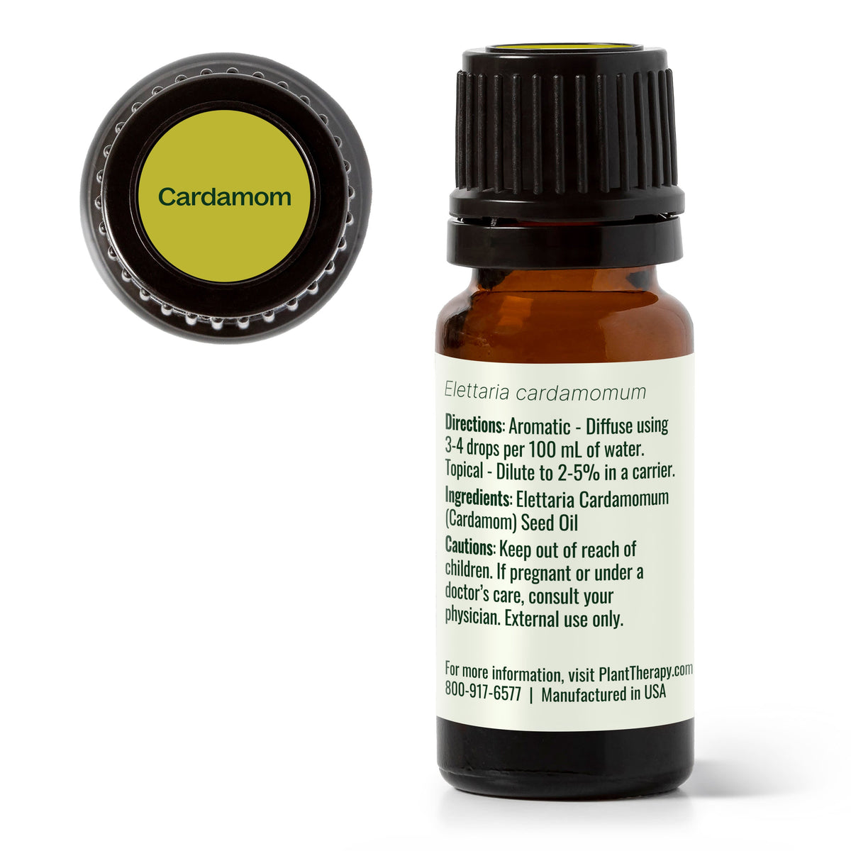 Cardamom Essential Oil