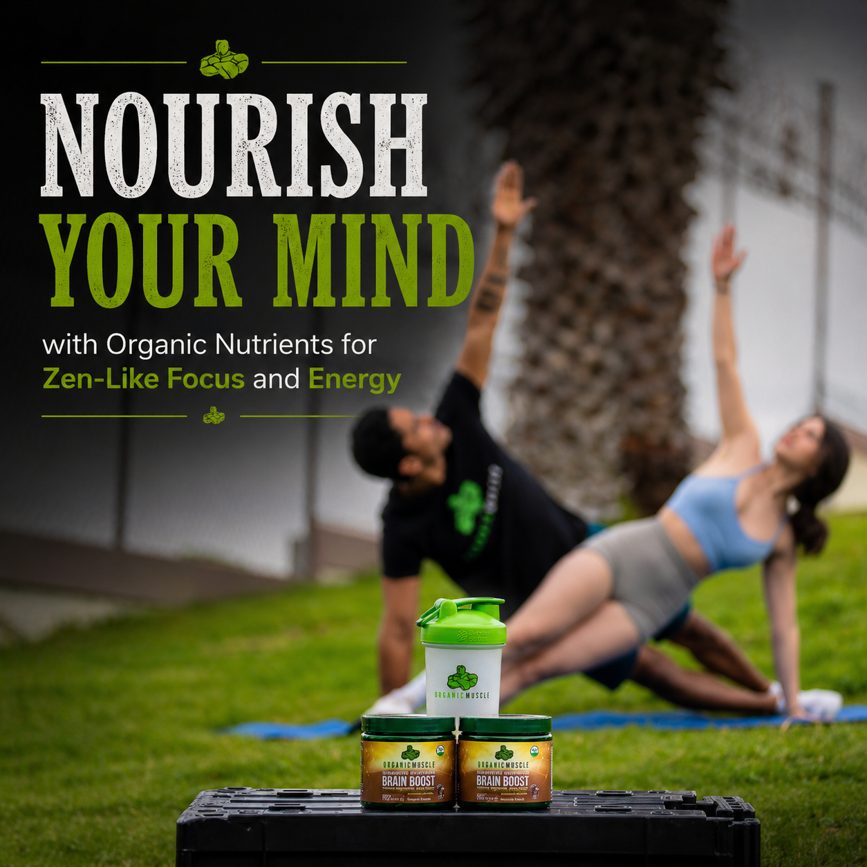 Brain Boost
