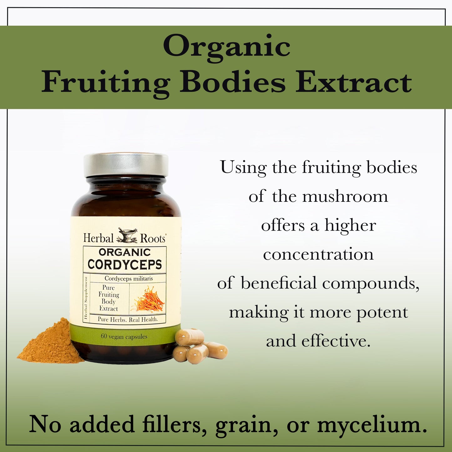 Organic Cordyceps Mushroom