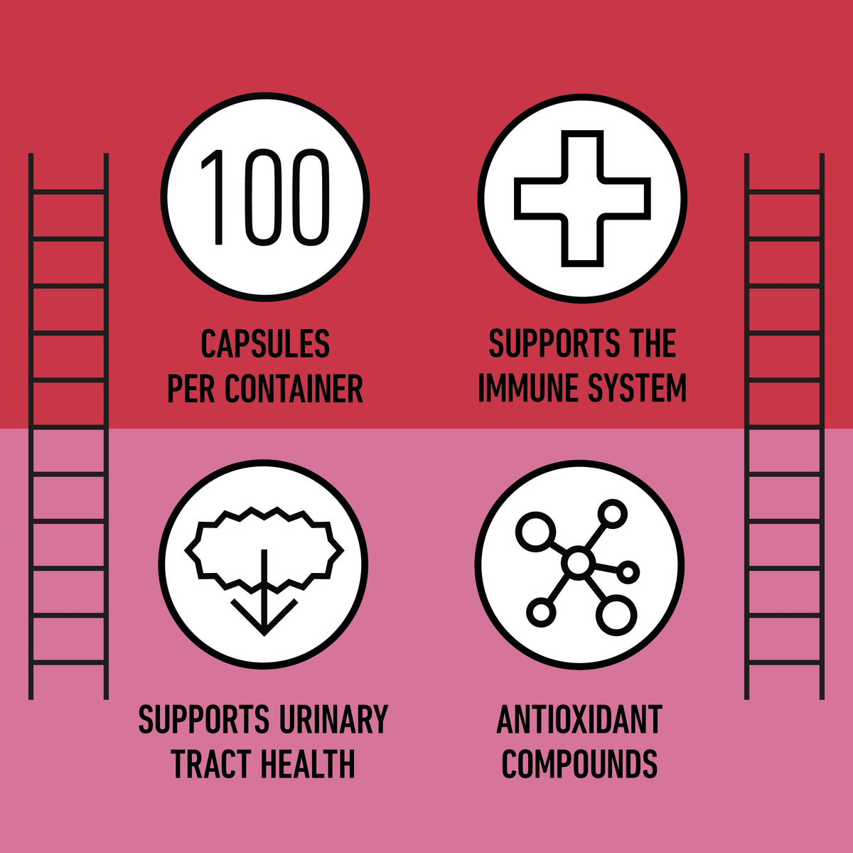 Organic Cranberry Capsules
