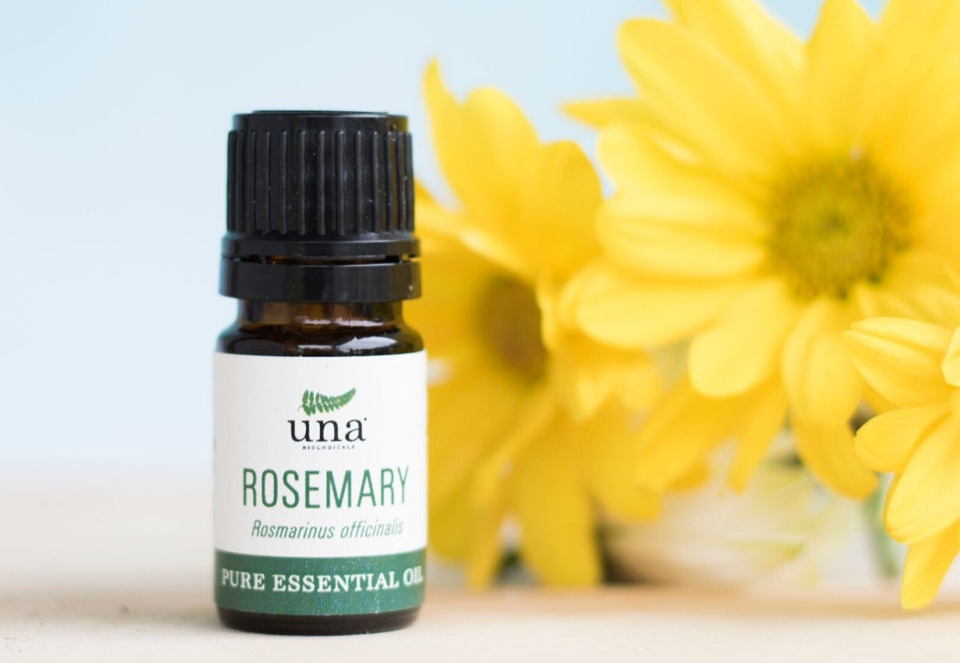 Rosemary Essential Oil | Pure Essential Oil | Una Biologicals