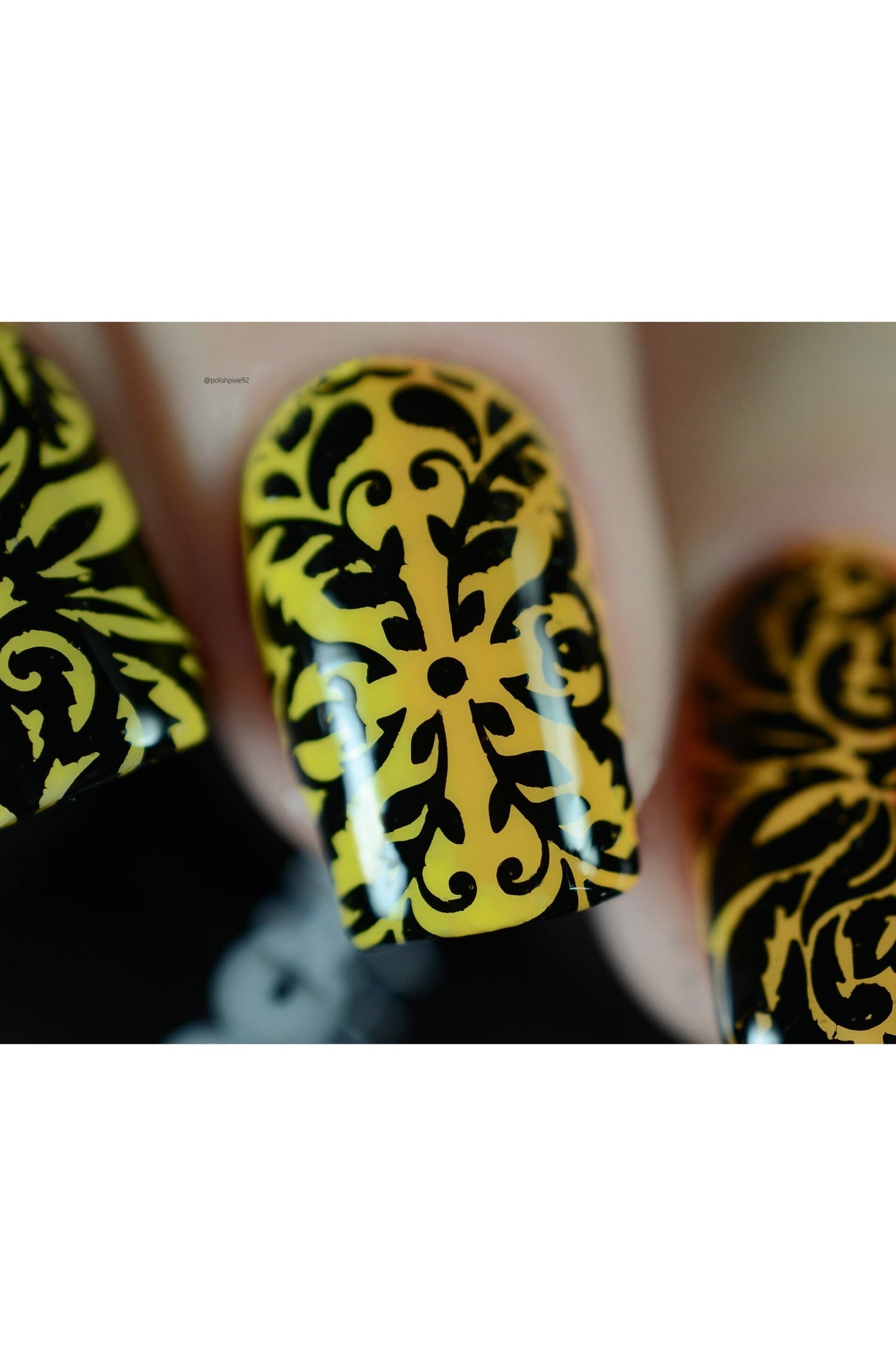 Damask & Baroque