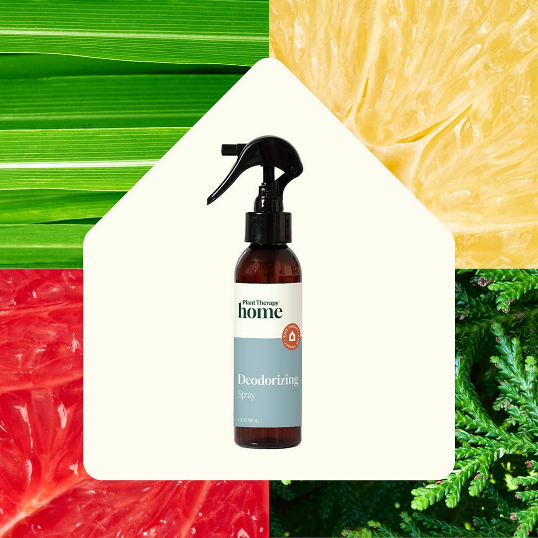 Vaporisateur désodorisant