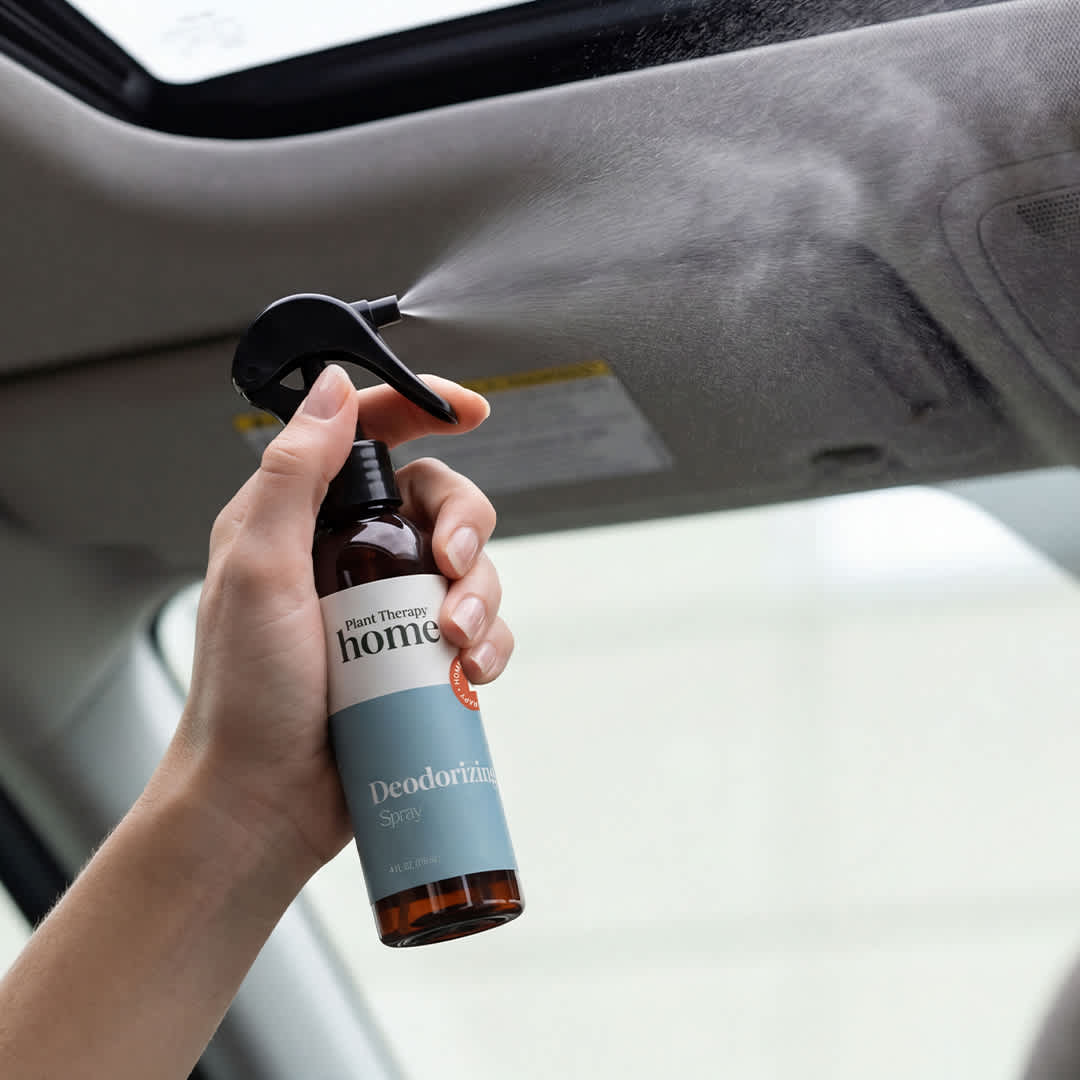 Vaporisateur désodorisant