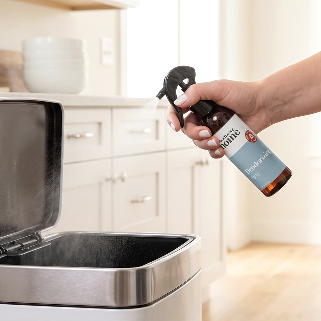 Vaporisateur désodorisant
