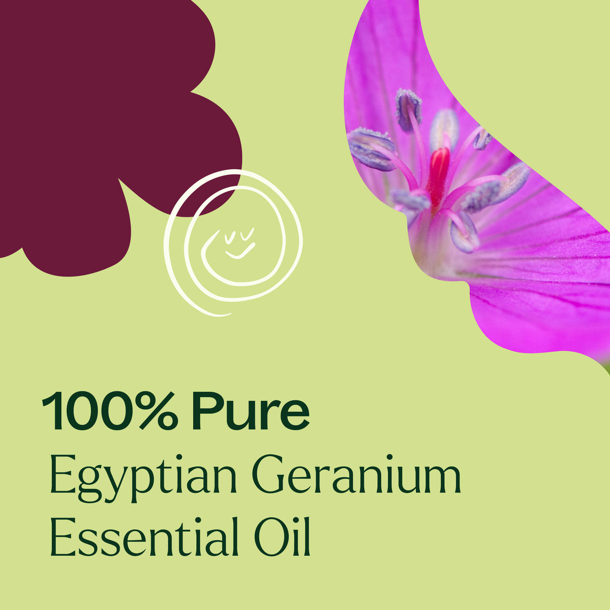 Aceite esencial de geranio egipcio