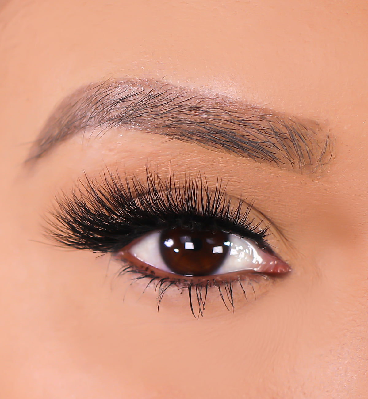 3D Mink Eyelashes - Lioness