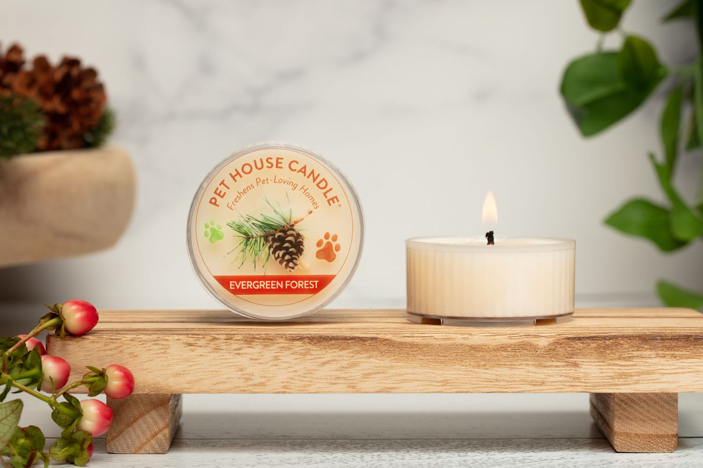 Evergreen Forest Mini Candle