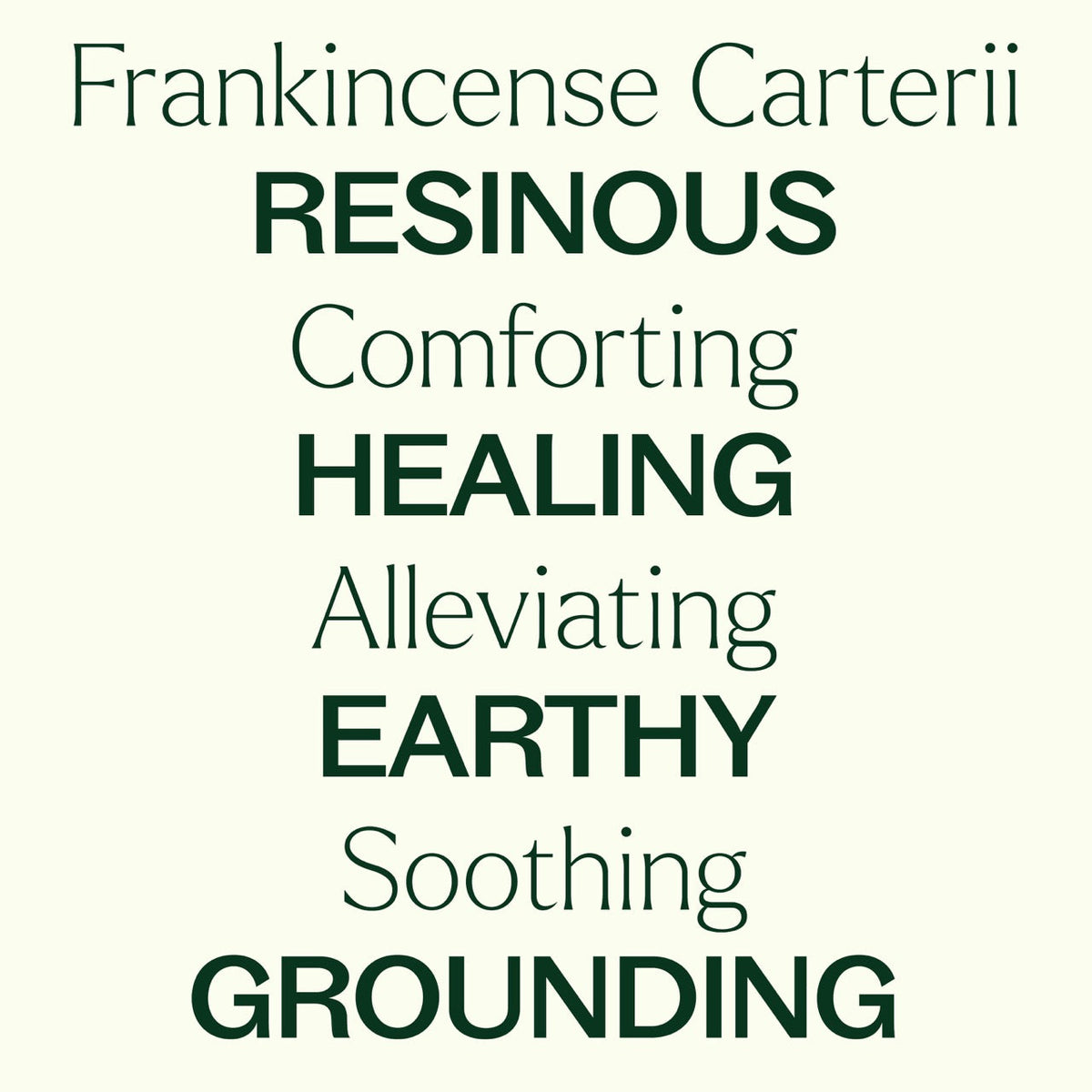 Aceite esencial de incienso Carterii