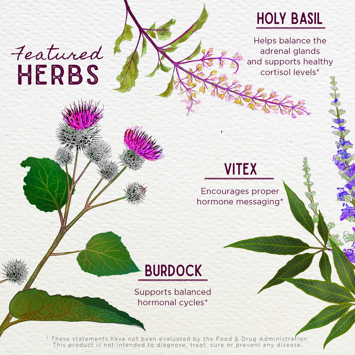 Regulador diario Hot Flash Tamer