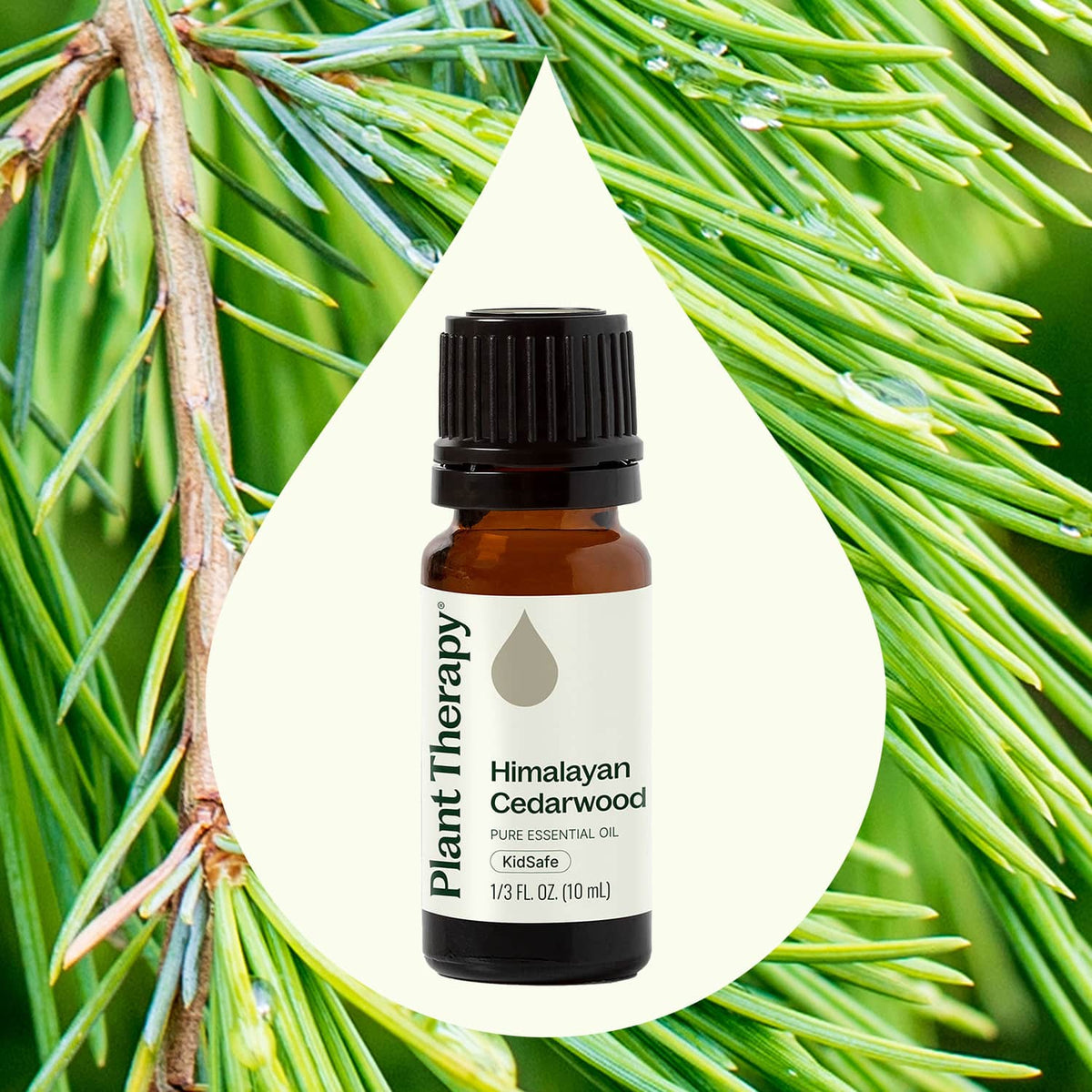 Aceite esencial de cedro del Himalaya