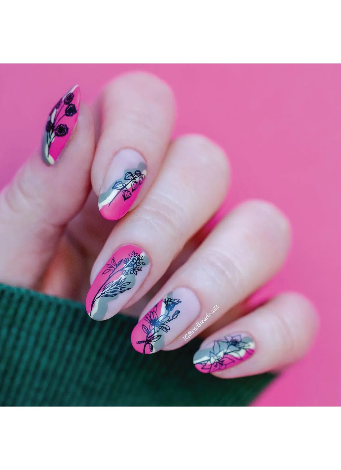 Flora & Fauna