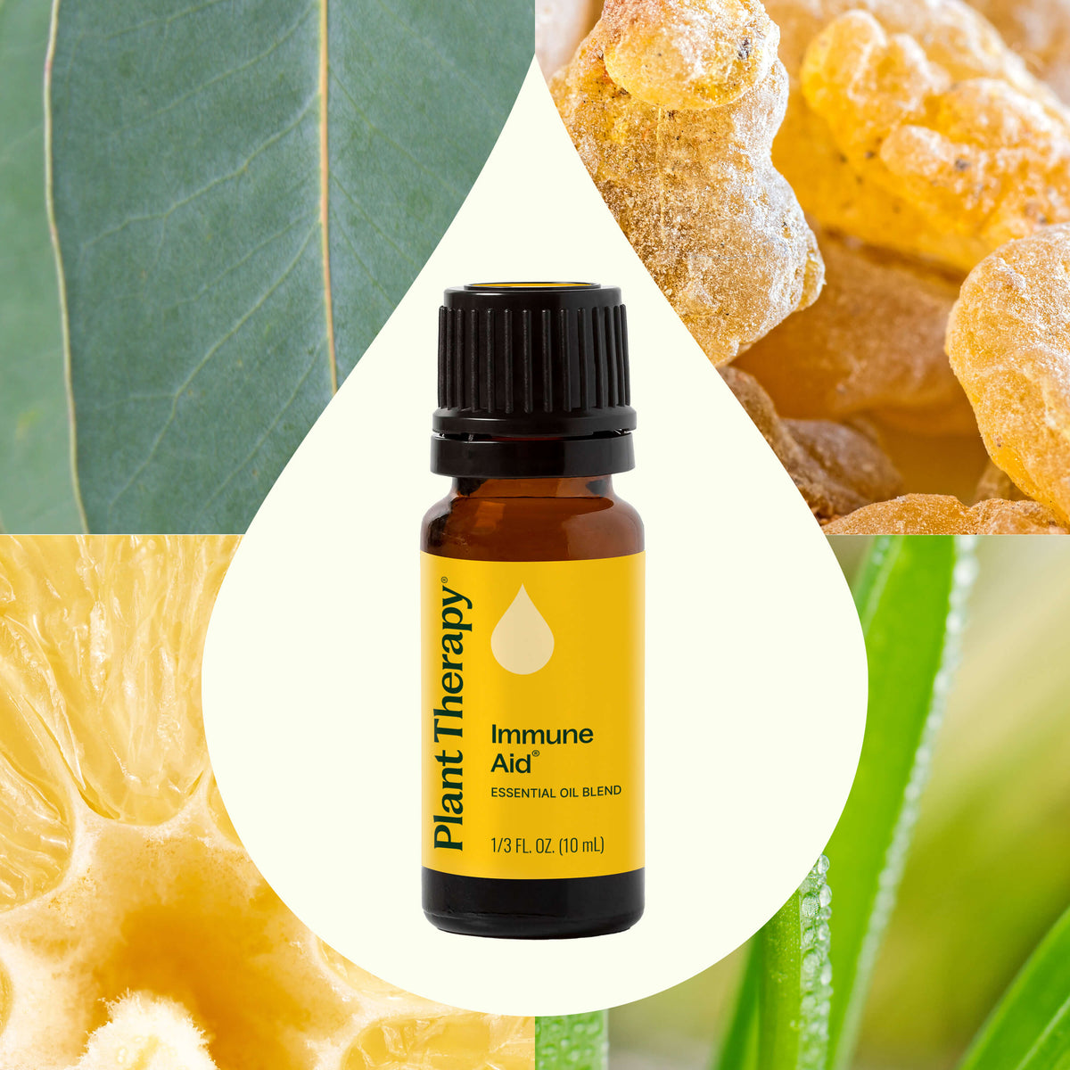 Mezcla de aceites esenciales Immune Aid